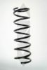SPIDAN 85678 Coil Spring